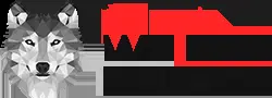 WeTheNorth market logo